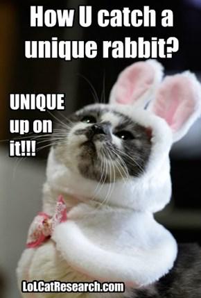 Featured image of post Funny Easter Cat Memes