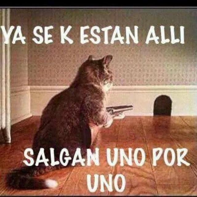 JLYNI sport tweet media