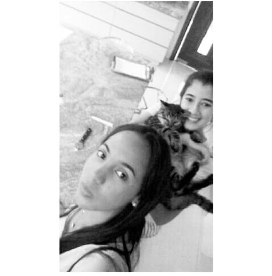 cindypino1's tweet photo. #Gusss tú nuevo angelito @gajaramilloch yo amé los gatos por Gus!! El mejor. http://t.co/YKZp69UyLP