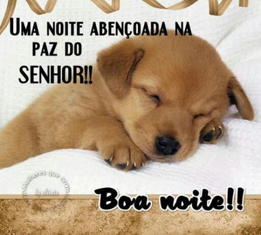 EGomes77 tweet picture