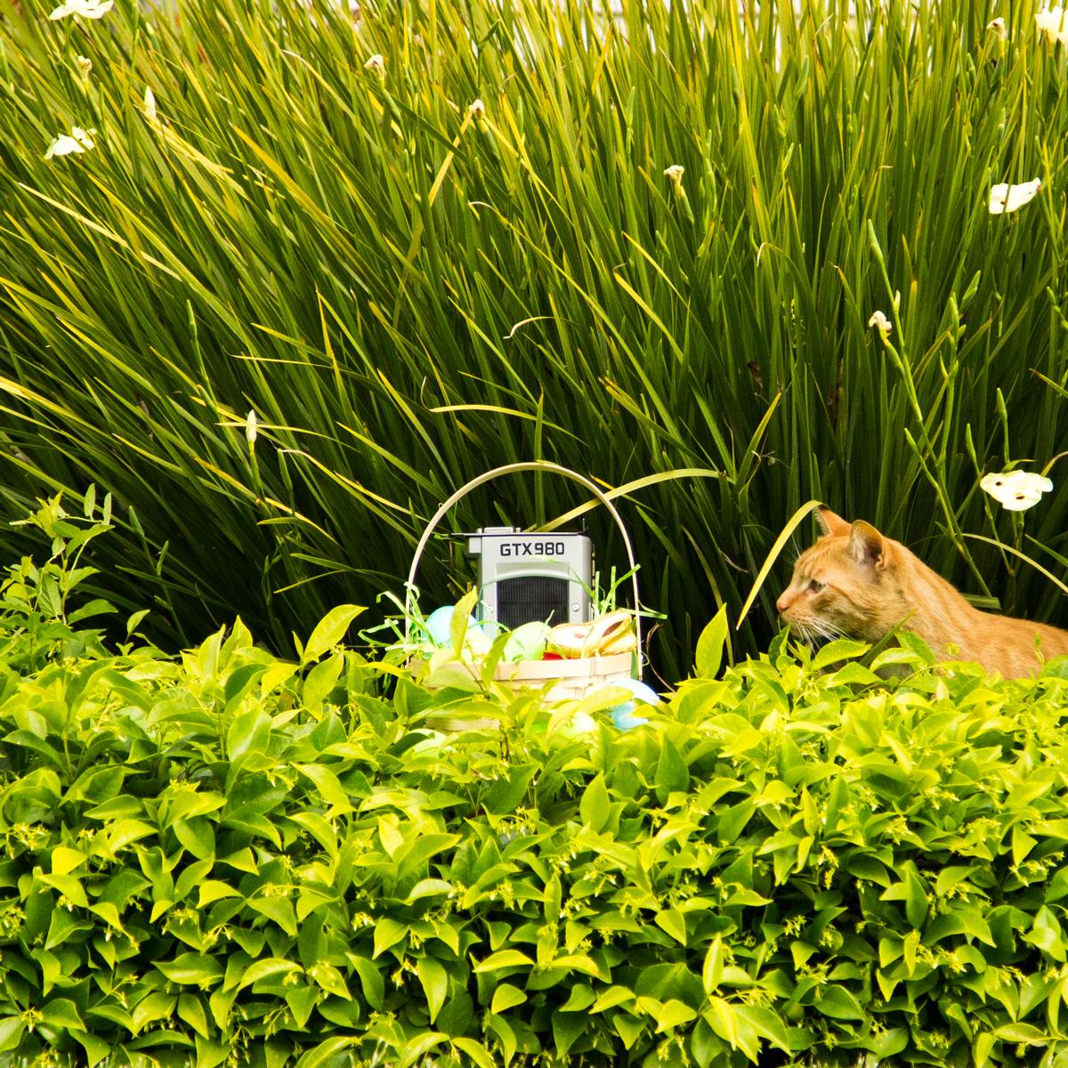 Permalien de l'image intégrée