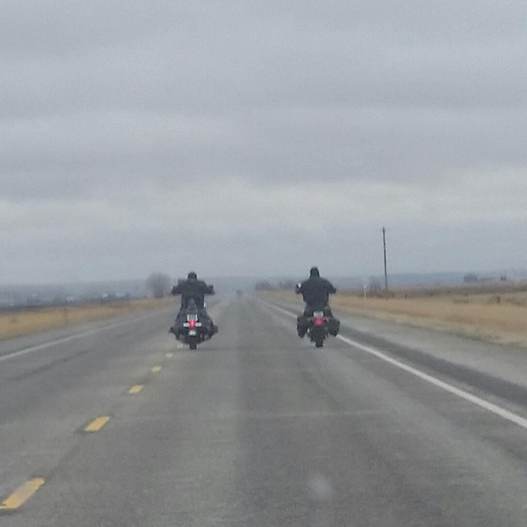nitzskinnywraps's tweet image. These hardcore Harley riders are heading right into a storm! #BACA #bikerlife #montanaspring