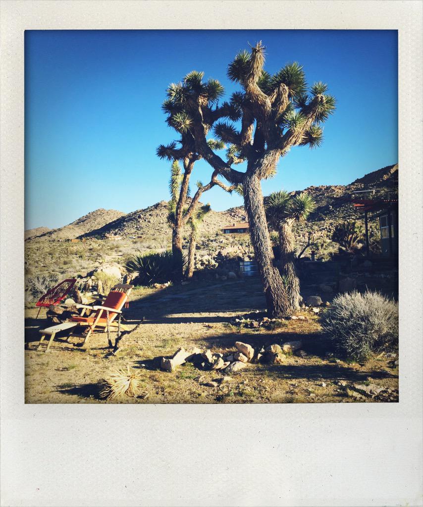 PhilippeQuaisse's tweet photo. Mon onzième séjour à Joshua Tree et de plus en plus passionné par ce désert... http://t.co/BJn2JWdlIZ