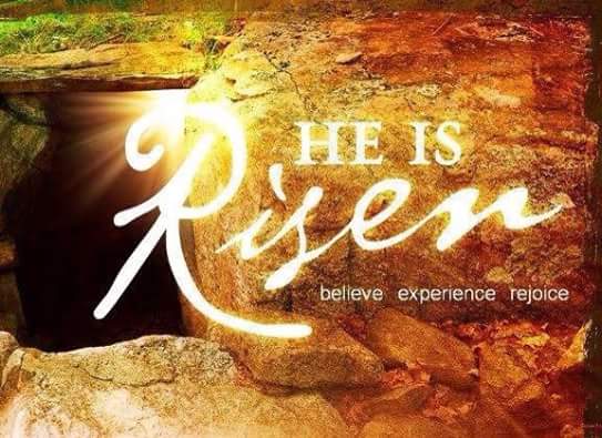 Pastor Kevin Rogers tweet media