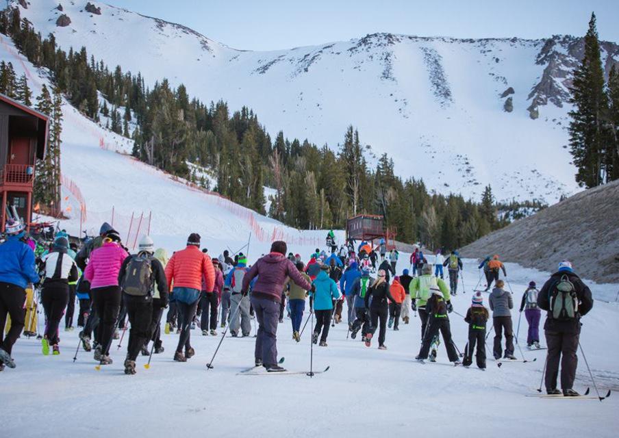 MammothMountain's tweet photo. Check out photos from Saturday's #Ezakimak 11,053" Challenge on our Facebook. http://t.co/ExzgAg1ZRO