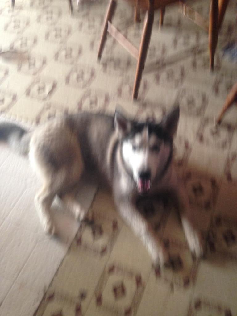 dirtydev35's tweet image. 