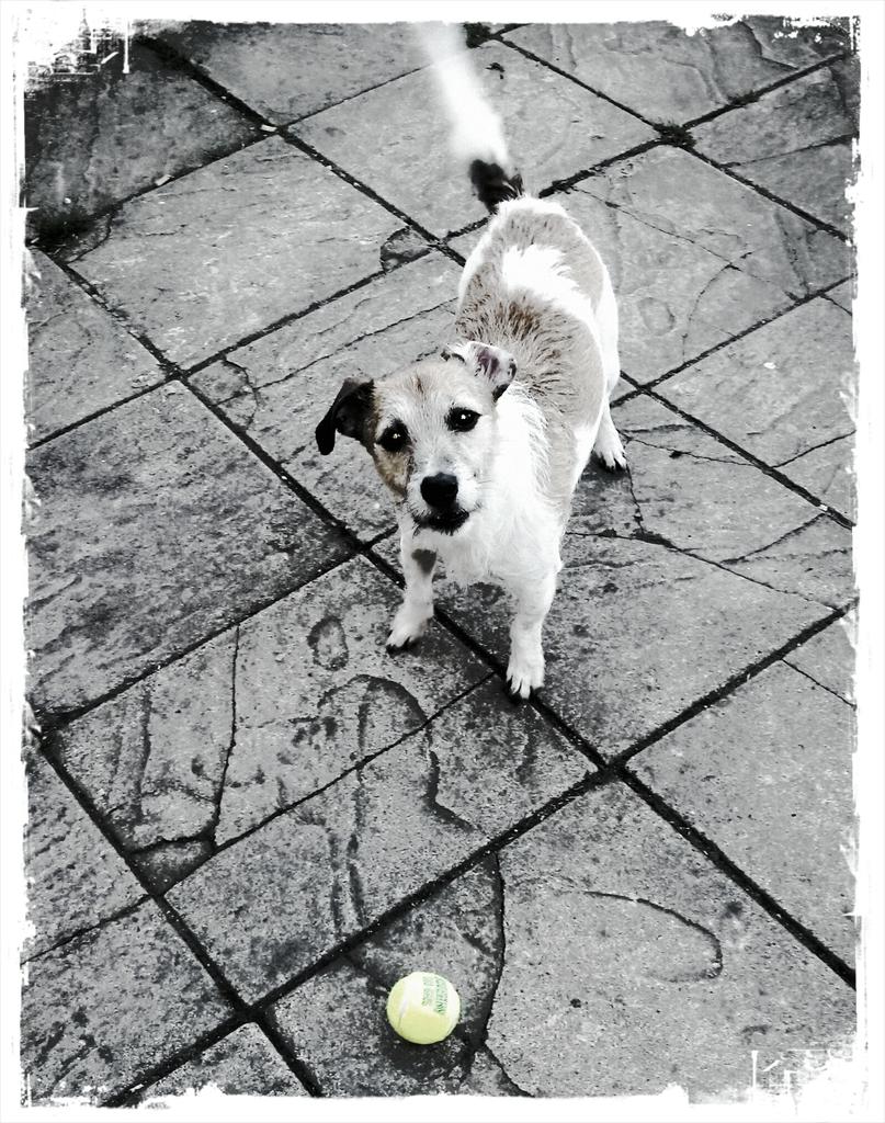 Edited with #aviary > avry.co/getAviary