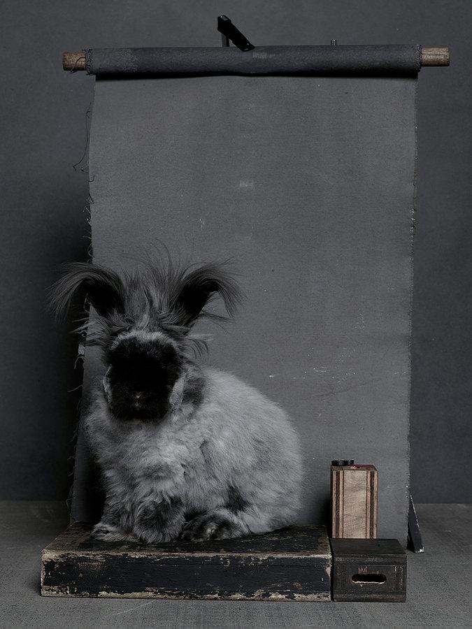 15 bunny portraits in the style of the great Irving Penn: vogue.cm/19WexWj