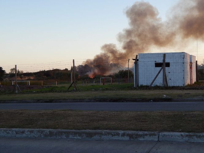 InfoPlatensetw's tweet photo. [#AHORA] @PabloBruera mandó a prender fuego el basural que montó en #Hernández http://t.co/TJsNxeWIsD #LaPlata http://t.co/27WKsWQ0L8
