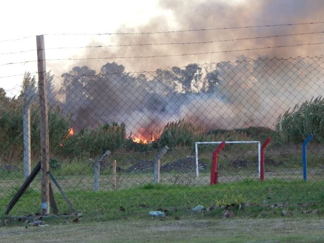 InfoPlatensetw's tweet photo. [#AHORA] @PabloBruera mandó a prender fuego el basural que montó en #Hernández http://t.co/TJsNxeWIsD #LaPlata http://t.co/27WKsWQ0L8