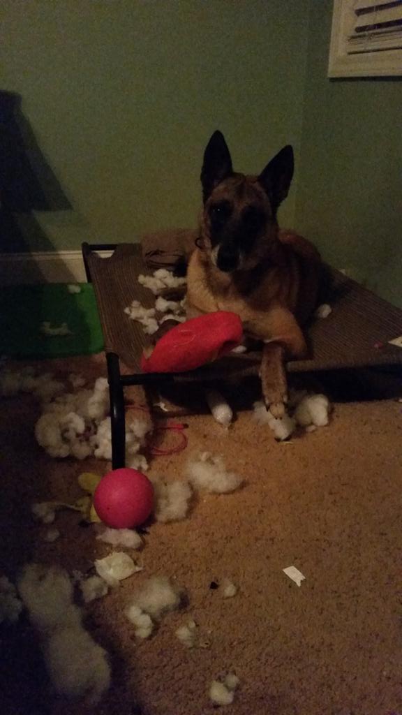 FPSDak's tweet photo. It just exploded.... with out warning! http://t.co/UgFbXErjlx