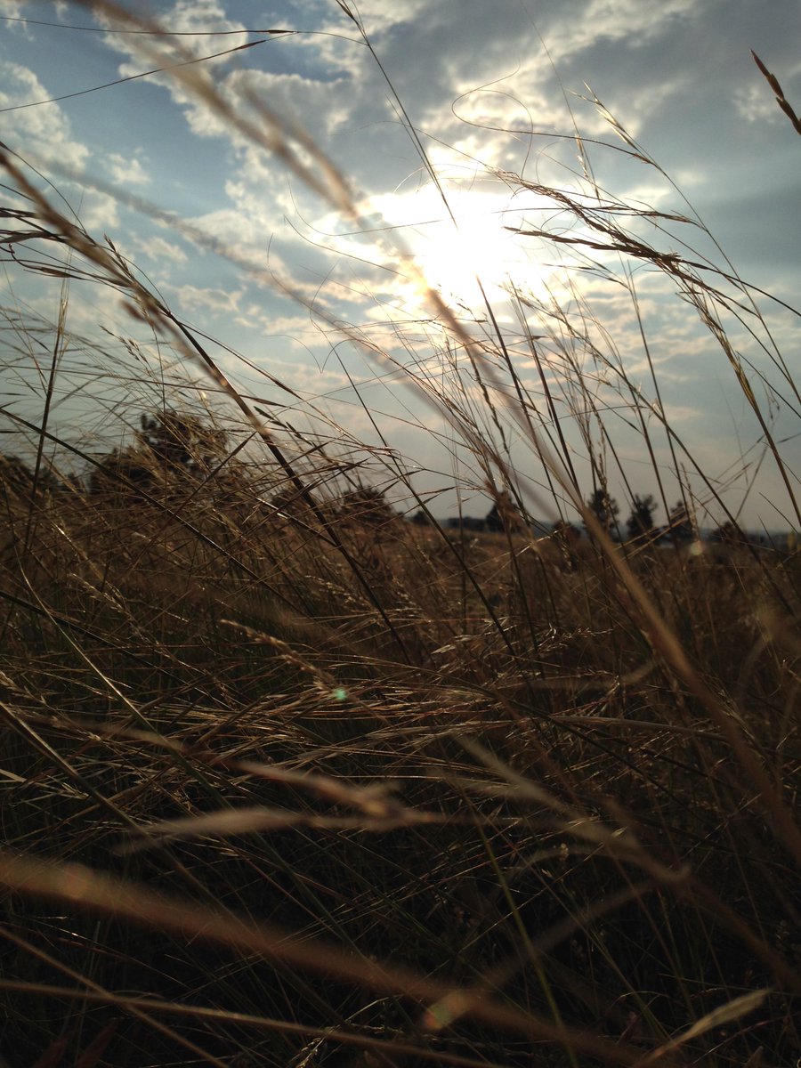 Weekly Topic (@WeeklyTopic) / Posts / X