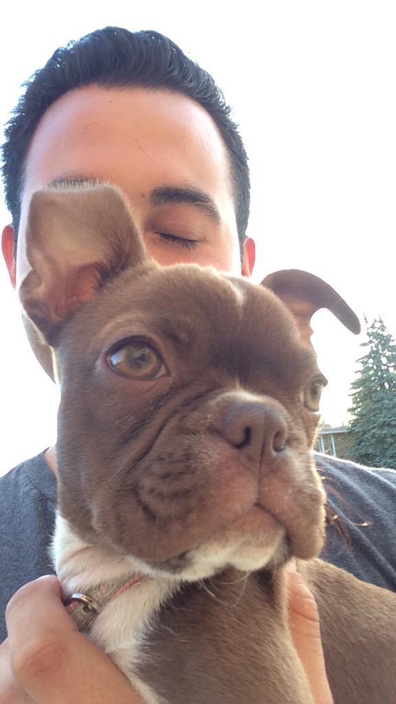 NeverLoBud's tweet photo. Missed hanging out with the pup http://t.co/HvN0KW91D7