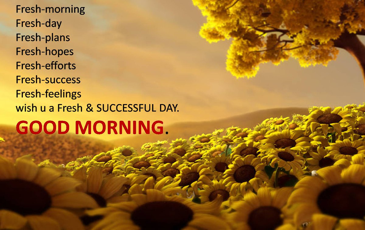 hindavischool's tweet photo. Good morning http://t.co/6ZWhEUj70b