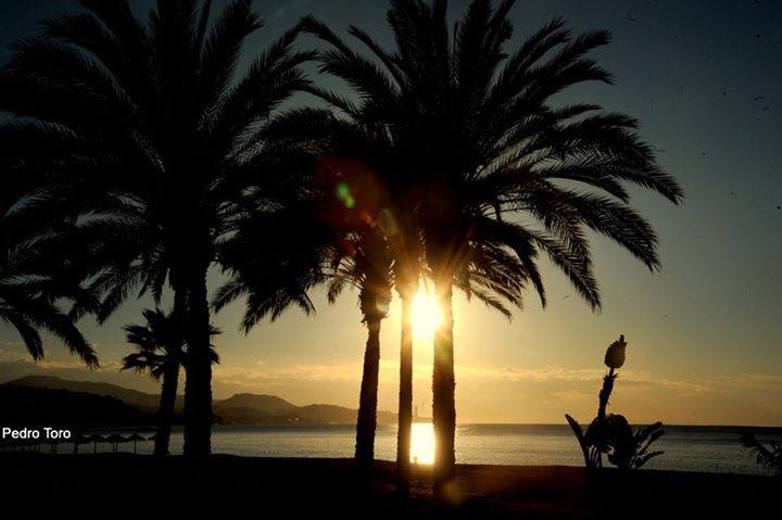 ElPimpiMalaga's tweet photo. Entre un choque de miradas, una sonrisa es el mejor accidente
#RevolucióndelAmor #buenosdías Pimpis

Foto: Pedro T. http://t.co/ZuK59rjSu7