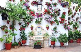 ConsuladoEspMel's tweet photo. May, #Córdoba Yards (Patios) Festival time, @UNESCO Intangible Heritage @CordobaEnamora @CordobaESP @cordoba_turismo http://t.co/1vb7TDRUez