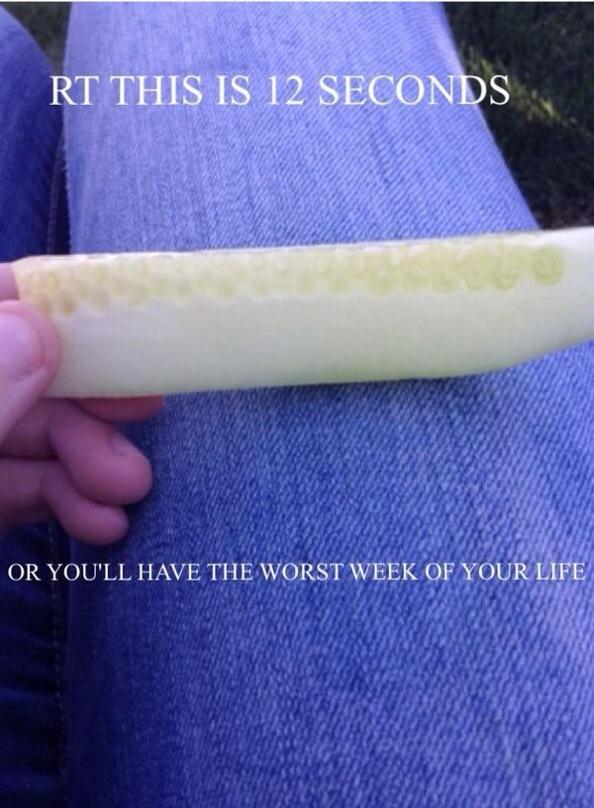 Im not taking any chances