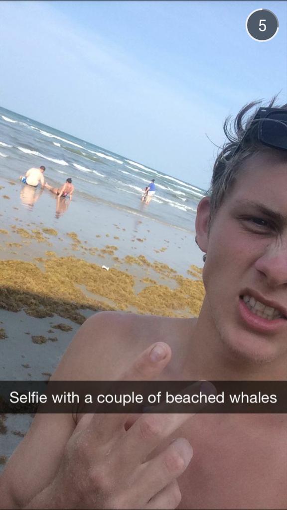 breezybear25's tweet photo. "@millyflint: Quote with the 87th pic on your phone" http://t.co/39OAxdYjlE