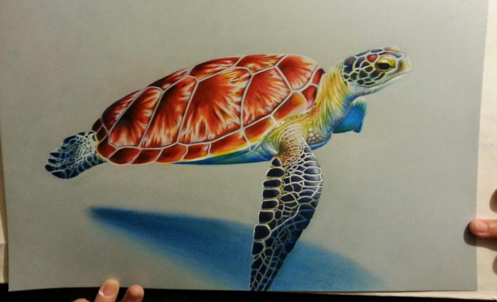 Quick Color Wonder™ Turtle | crayola.com