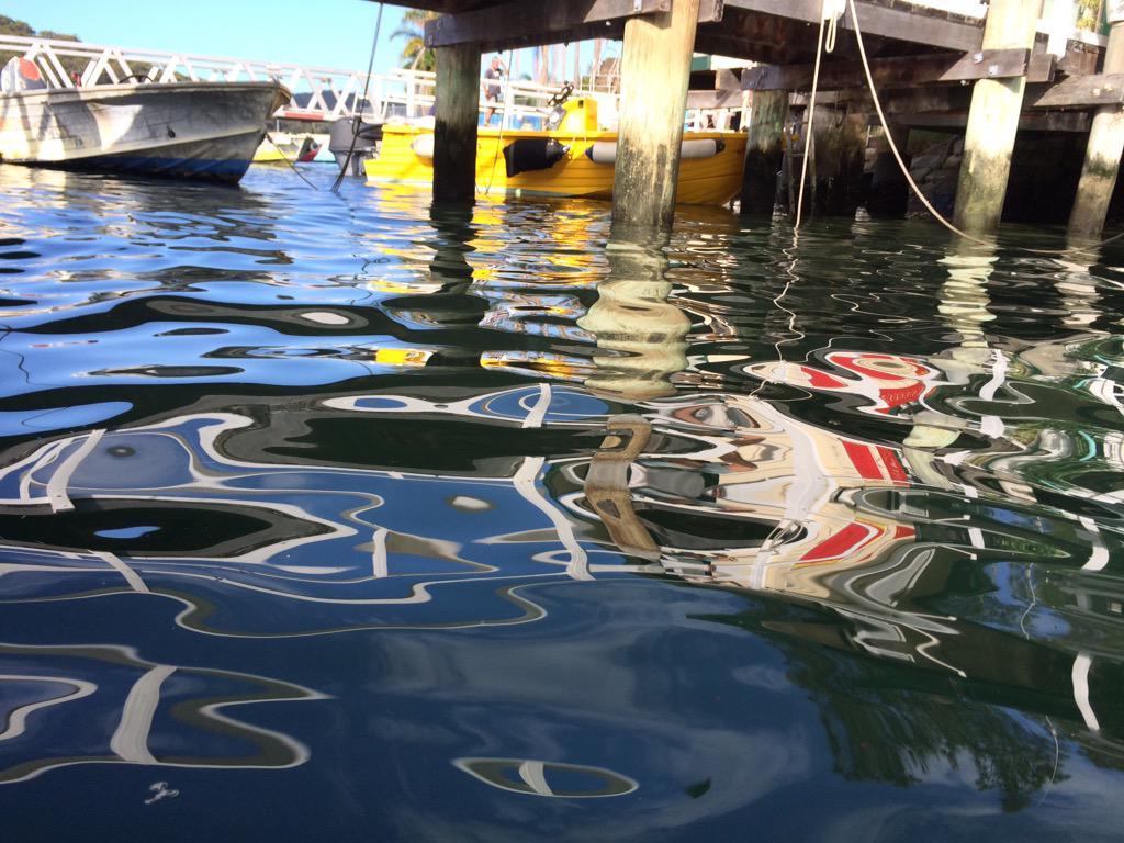 ThompsonSen's tweet image. #LIFE