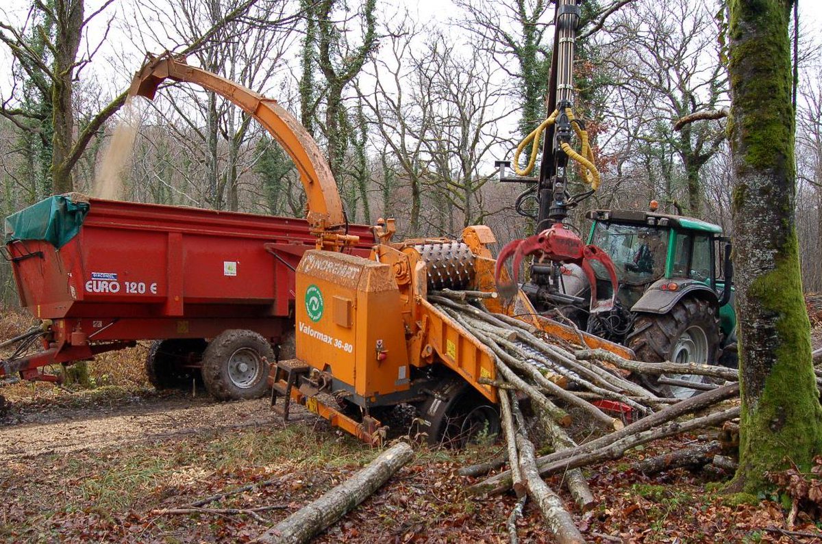 Filière bois : 4000 emplois et du mal à recruter #Bourgogne #Emploi bienpublic.com/economie/2015/…