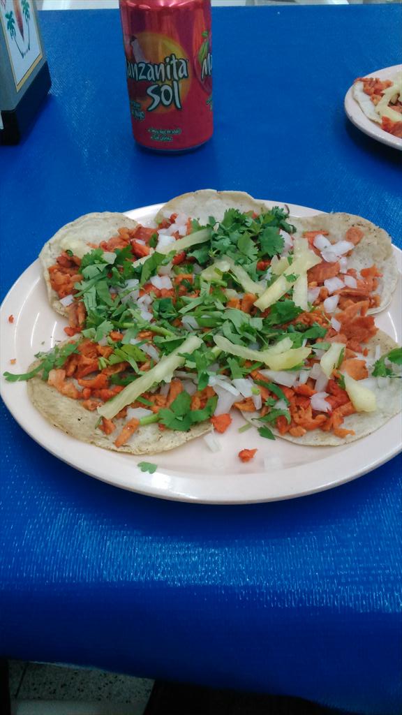 isaac13298's tweet photo. En Acapulco comiendo #unosricostacosporqueno @karen_171288 @IngCarGon @chikaseahorse @IVANVP88 @MonsroxRoxana http://t.co/P7ECqvwRag