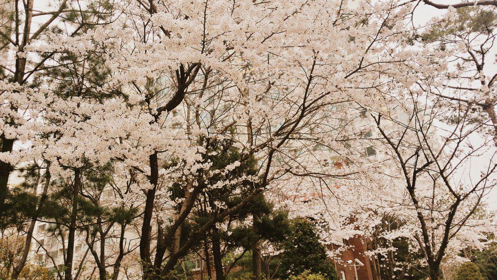 笠松 幸男 tweet media