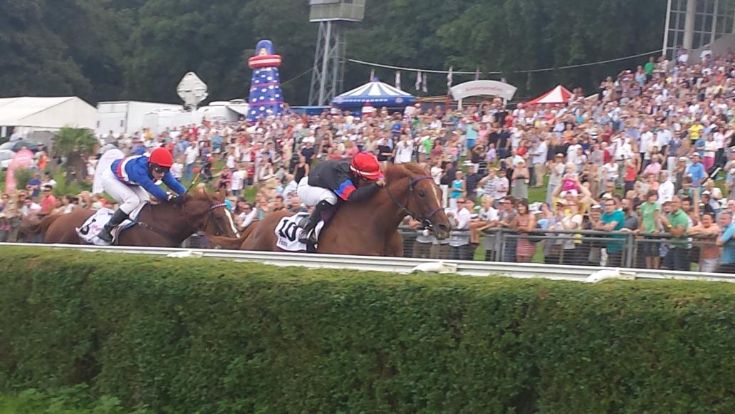 German Racing Review tweet media