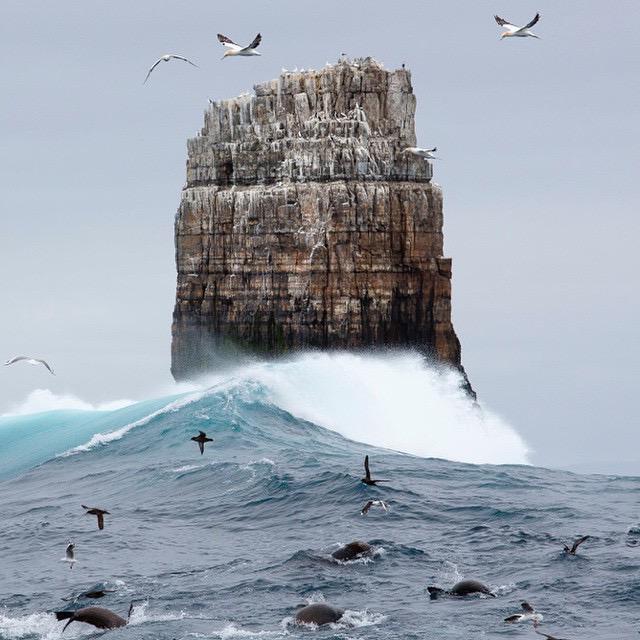 Discover Tasmania on Twitter "Spectacularly wild waters surrounding