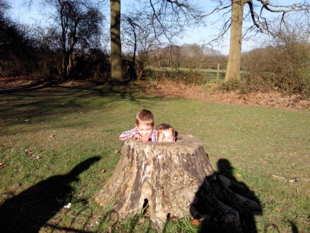 mummymusingz's tweet photo. Lovely trip to park until... 'Mummy - I've found somewhere to have a wee' #morewashing #LifeWithBoys http://t.co/GltR0O9uRf