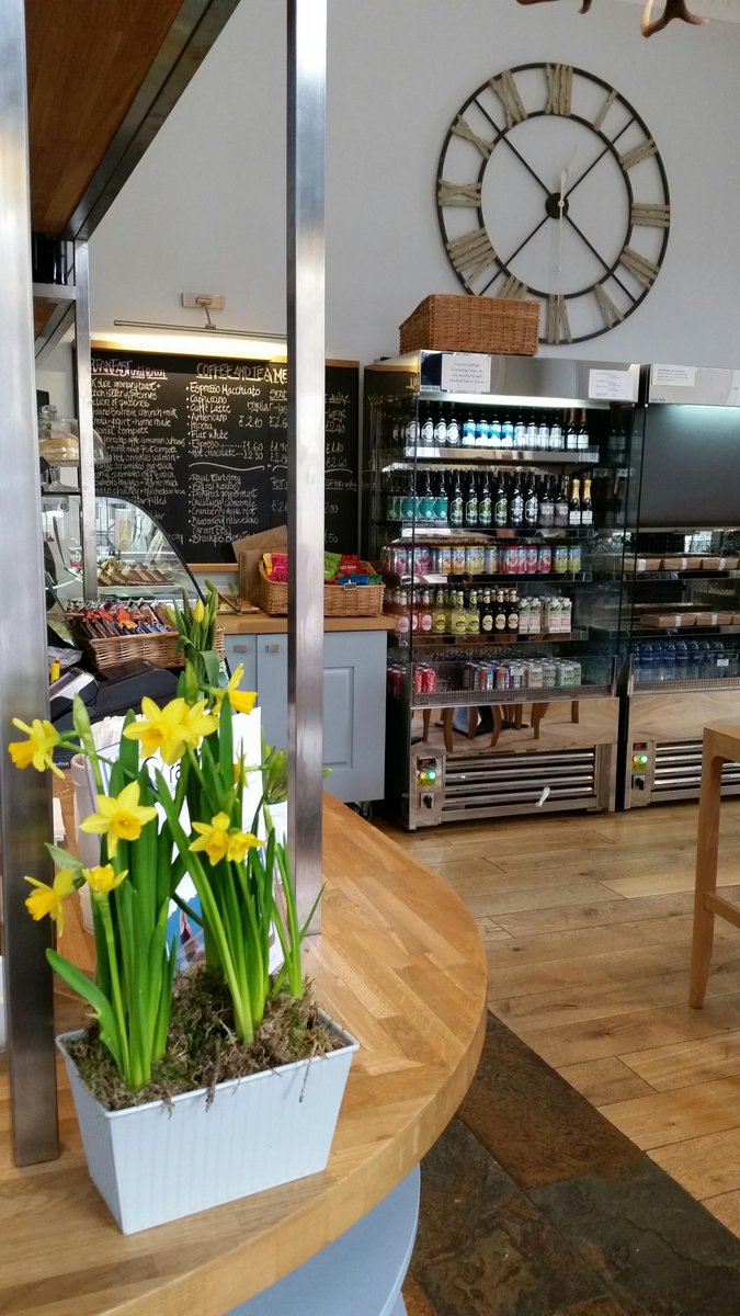 Rabbies_Cafe's tweet photo. Looks like another Spring day! Daffodils are looking great in the café bar. http://t.co/MqwLpaBKov