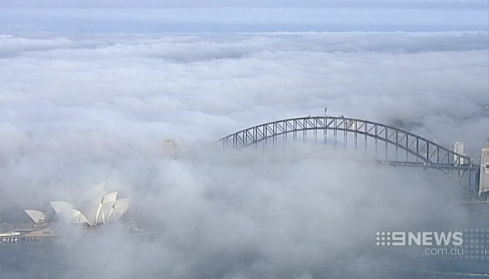 9NewsSyd's tweet photo. Fog has blanketed Sydney this morning, making for an eerie commute into work. #9NewsAt6 http://t.co/ACnD2naWmR