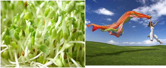 bvvinmec's tweet photo. Làm thế nào để vẫn trẻ trung, xinh đẹp sau tuổi 40? http://t.co/7gRGA1R96c http://t.co/PPlsHCTRu9