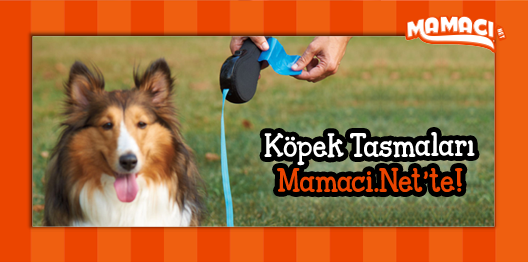 Enerjik ve heyecanlı bir köpeğiniz var ise, özgür yürüyüş için otomatik tasmalar almalısınız; bit.ly/1Ggev9T