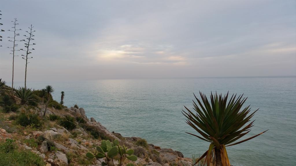 Precioso atardecer donde el sol y ese mar antiguo se mimetizan a ratos en el horizonte...

 #OropesadelMar #Atardecer