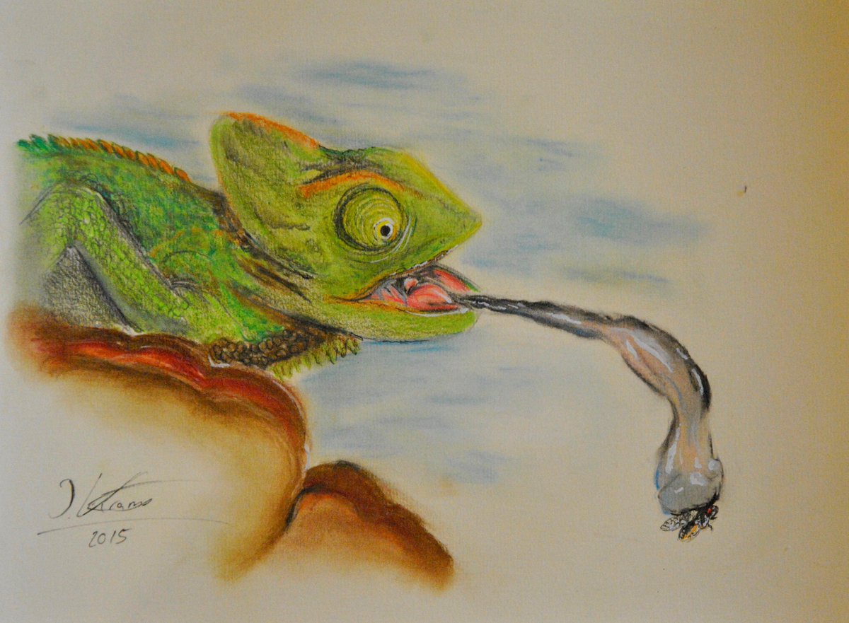 Ivi Satelier Chamaleon Gemalt Mit Pastellkreide Von Fabercastell Und Aquarellstiften Von Staedtler Art Drawing Malerei Http T Co Oqjjwmdpls