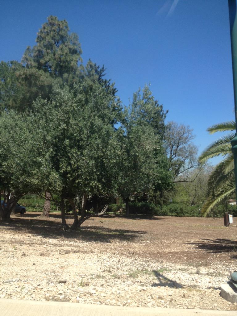 TalOpat1's tweet image. In a trip. Gonna die #tired #hot #IWantMyBed