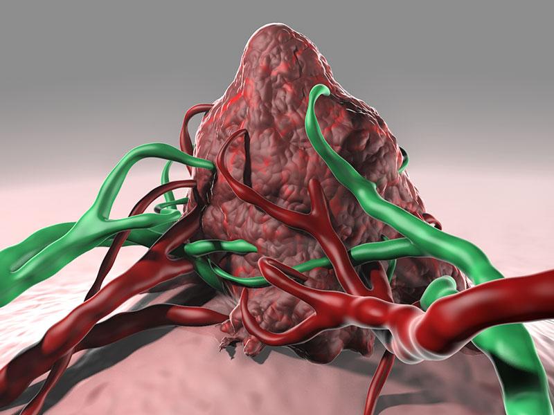 Nature's tweet photo. Vaccines made from mutated tumour proteins found to bolster immune responses to cancer http://t.co/ygYULUXVBC http://t.co/pFLDxbo1Qe