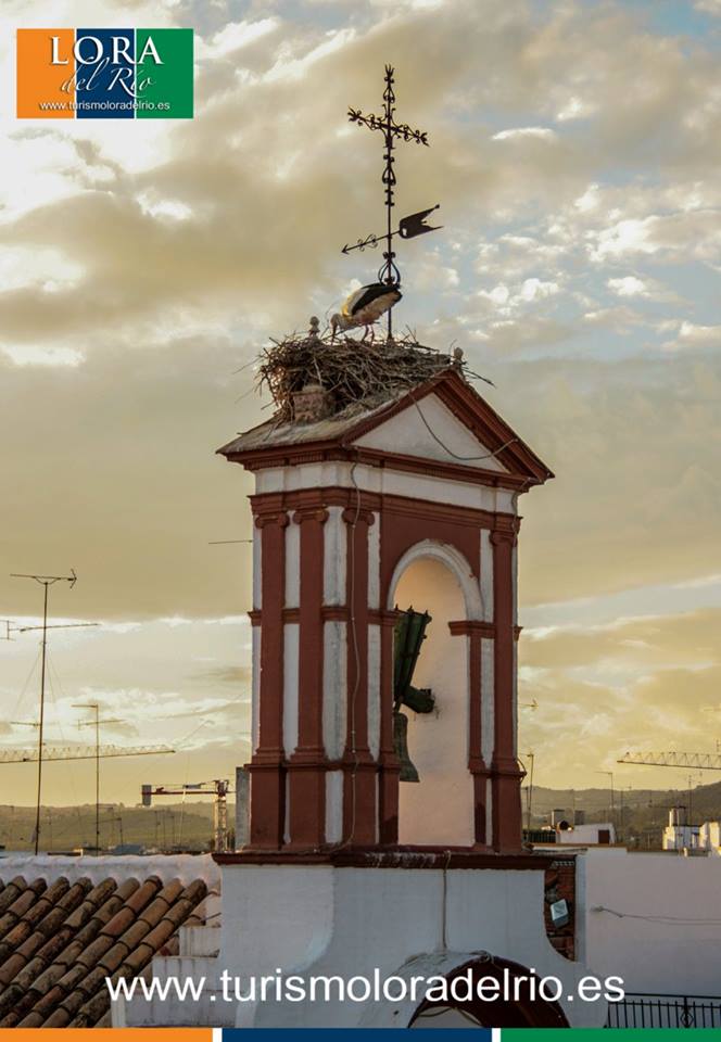 ¡Vive la #primavera en #LoradelRío! #Fotografía: <a href="/turismolorario/">Turismo Lora del Río</a> #ProvinciaSVQ <a href="/Sevilla_Turismo/">Turismo Provincia Sevilla</a> <a href="/aytoloradelrio/">Ayto. Lora del Río</a>
