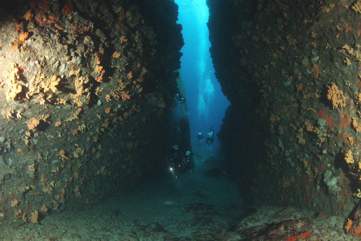 PlanetBlueDive's tweet image. The Canyon @ Makronisos dive 05 April 2015