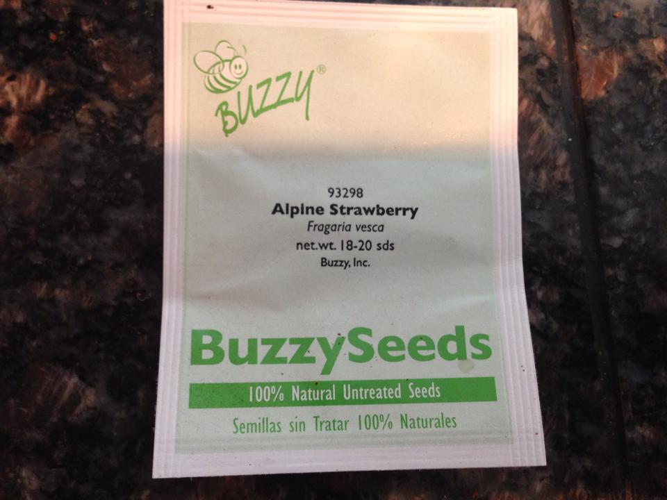 Eingebetteter Bild-Link