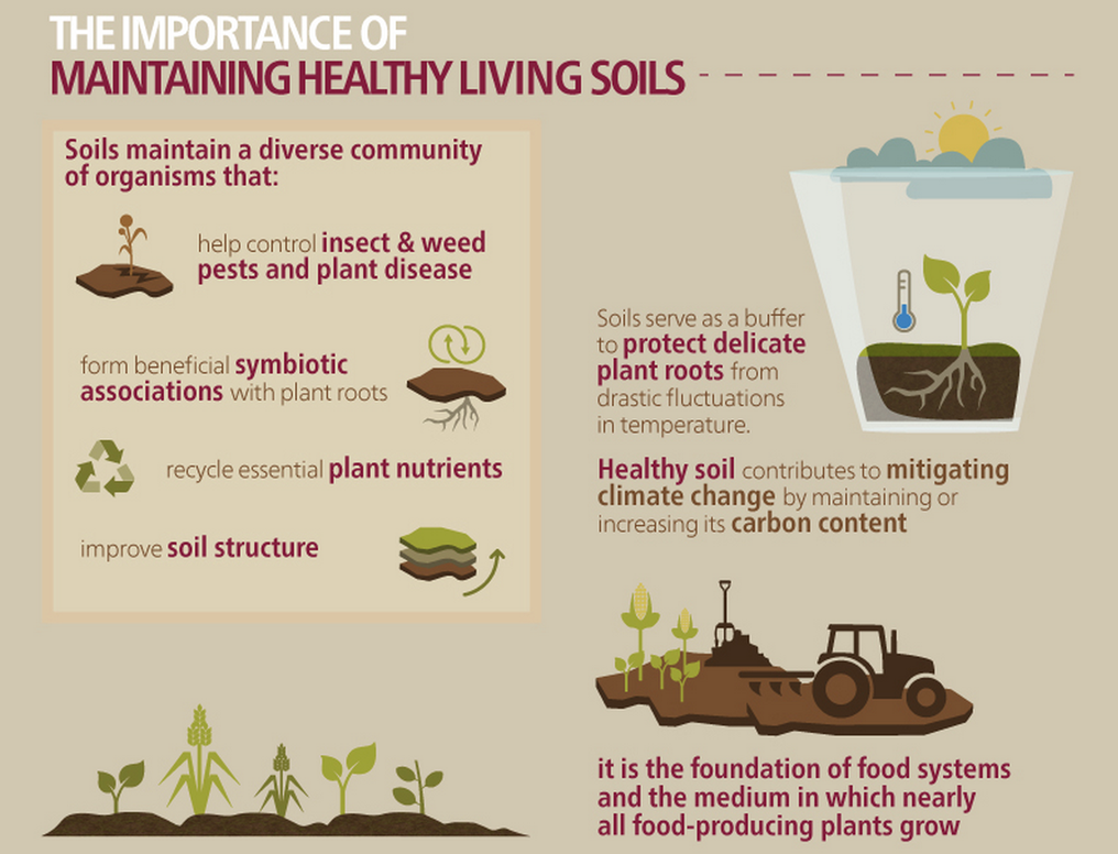 The Importance Of Soil Conservation