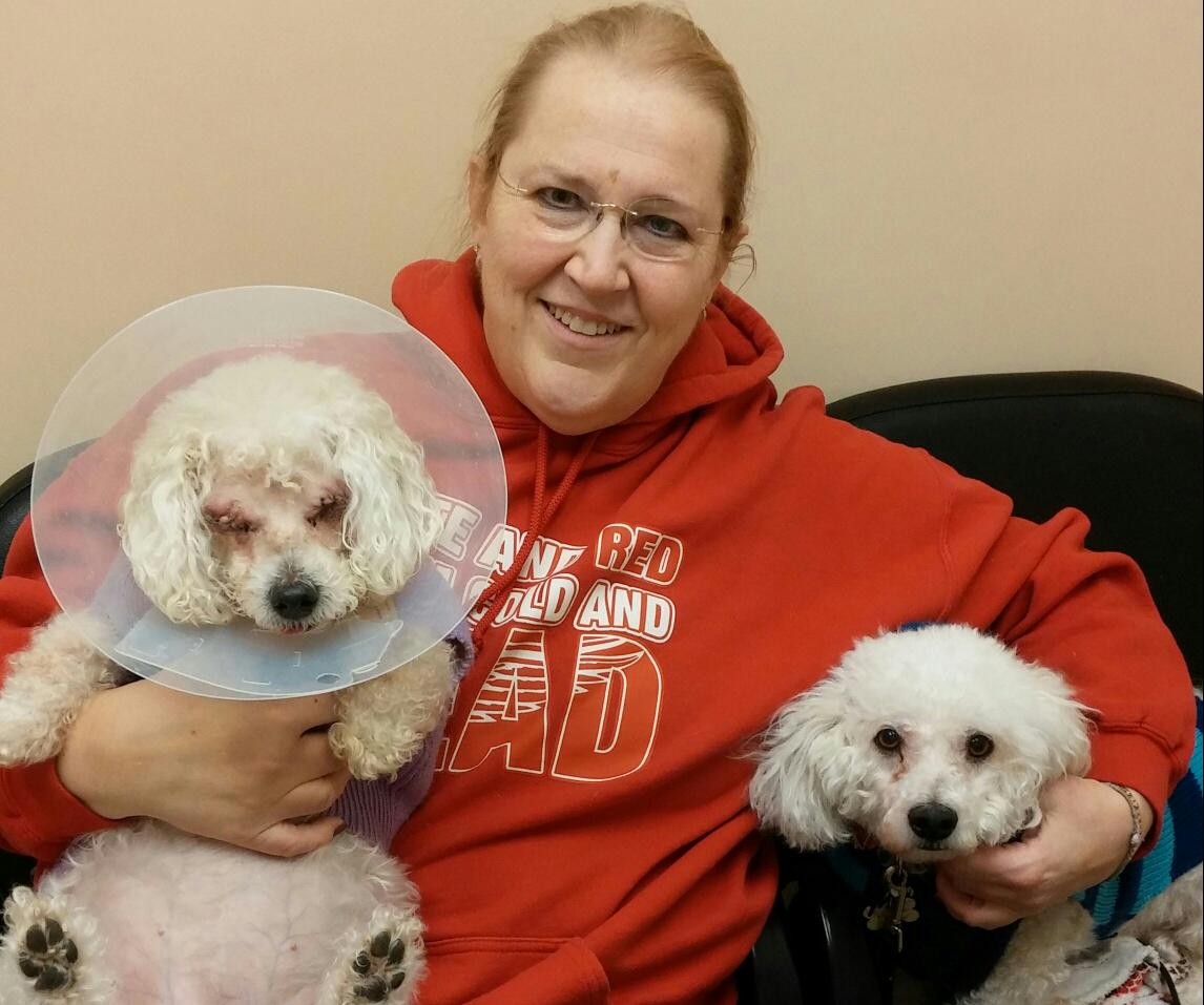 A2AnimalHosp's tweet photo. We've dedicated April to #PetsWithDisabilities and #AssistiveDevices that can help them! http://t.co/3BCHTFW5xc http://t.co/hCBl6ZQrlC