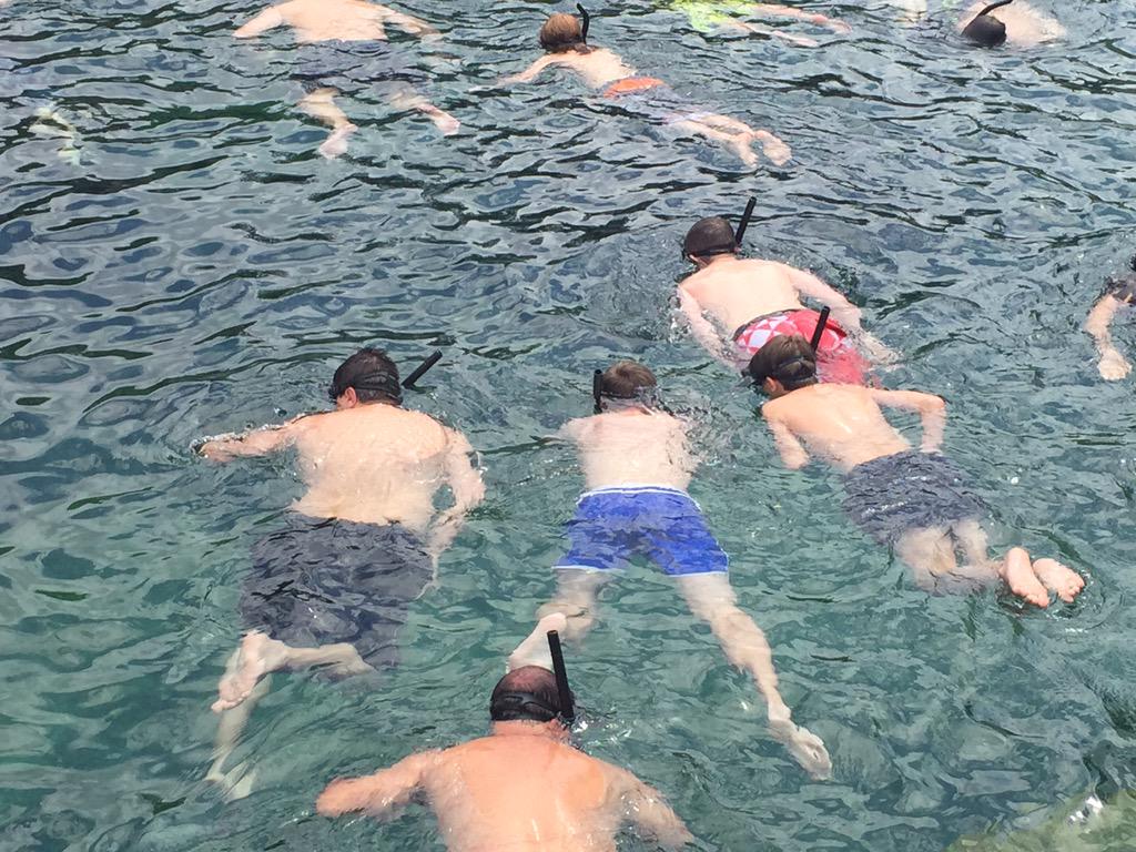 Florida2015LSP's tweet photo. Some more snorkelling action from Cooper, Jak, Kurtis and Jordan. http://t.co/5L7G0y1SbA