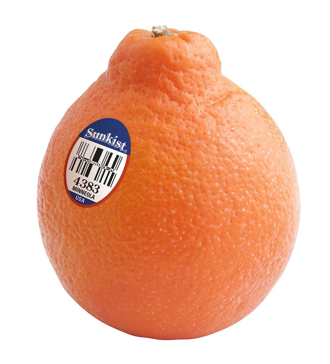 Sunkist on Twitter "Not sure what inseason Minneola Tangelos look