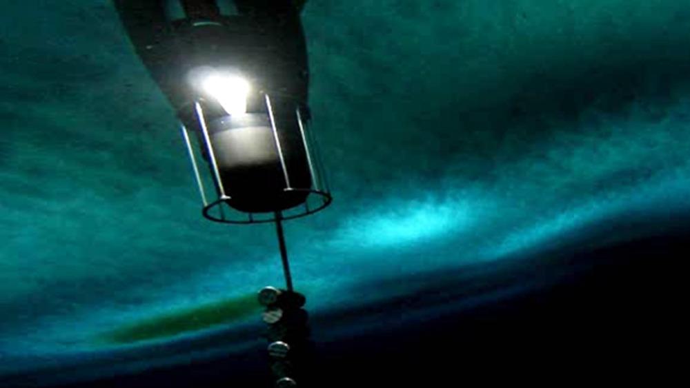 Подводный робот впервые снял жизнь под ледниками Антарктиды
rg.ru/2015/04/06/ant…