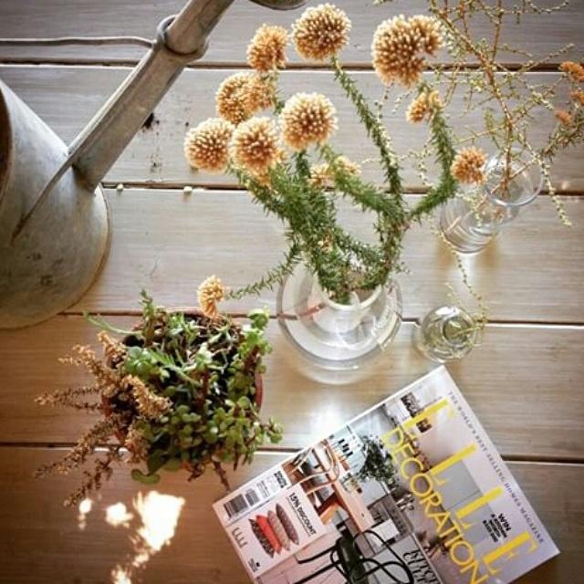 ELLE_Deco's tweet photo. Another beautiful #DECOselfie we found today... hop on over to our @instagram to see some more &amp; share yours http://t.co/oD0pbTXtpY