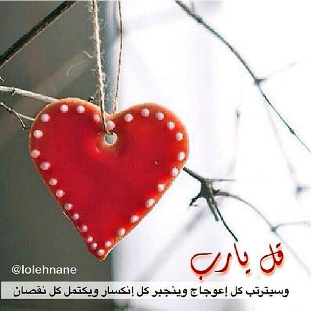 "<a href="/ps2000002/">سنفوره</a>: "