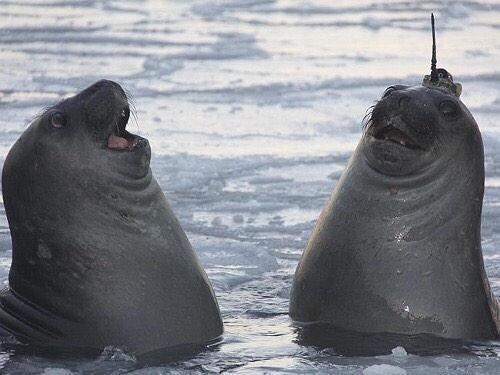 when u make a joke that only u and your friend get