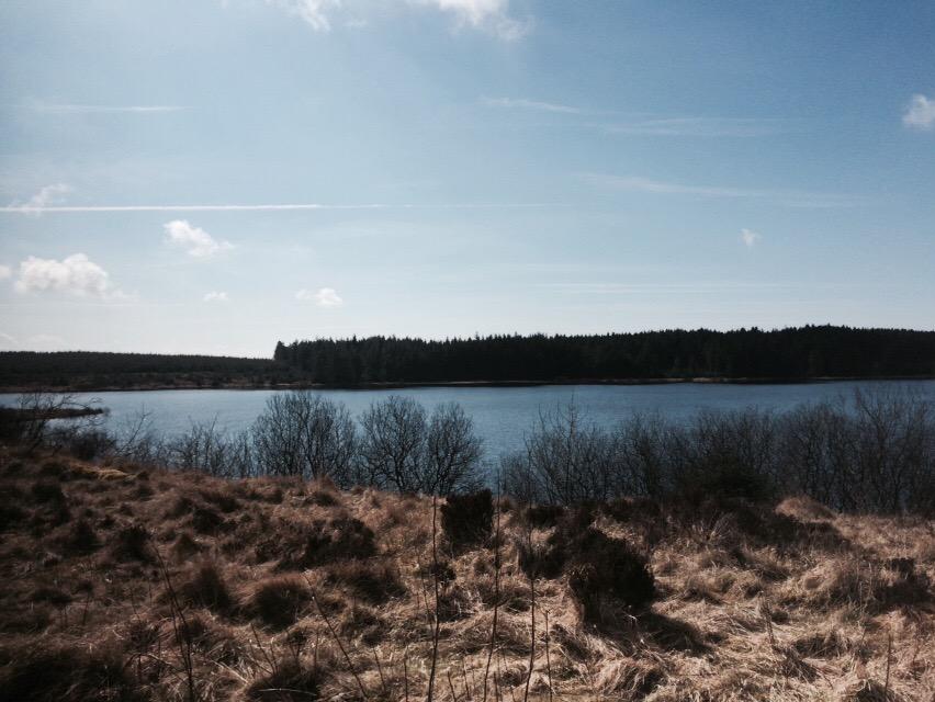 lfclee2011's tweet photo. This was where I was earlier today #killylane reservoir 😃😃😃 http://t.co/MtNjPFPwQk